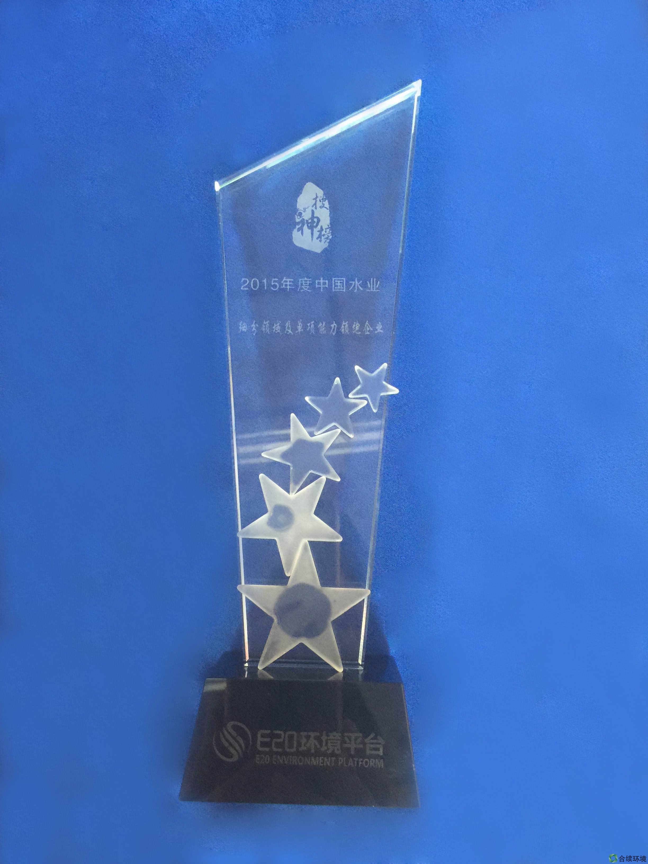 2015年度中國水業(yè)細分領域及單項能力領跑企業(yè)