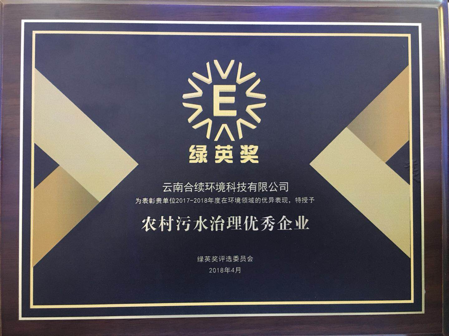 合續(xù)環(huán)境榮獲“綠英獎—農村污水治理優(yōu)秀企業(yè)”榮譽稱號